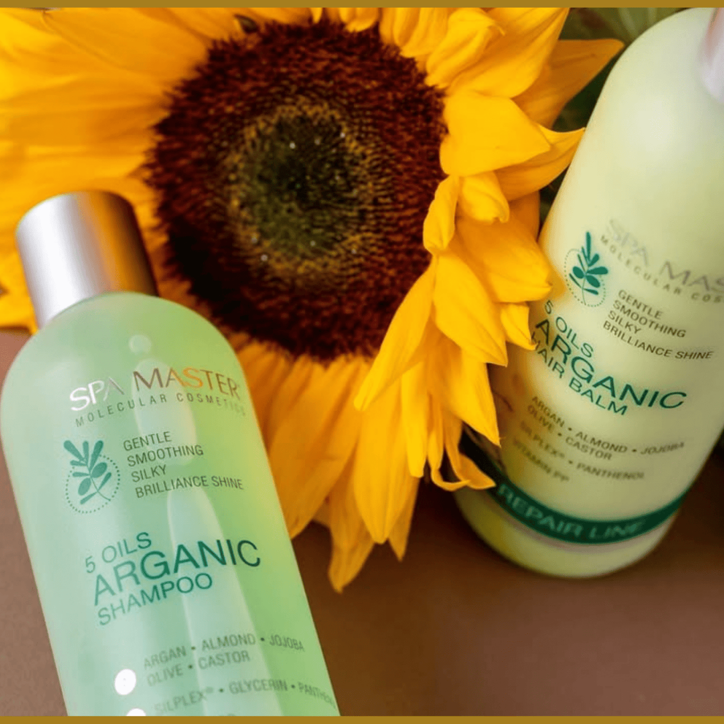 SPA MASTER Argan Shampoo Droog tot Beschadigd Haar - 330ml | MISTER33.COM