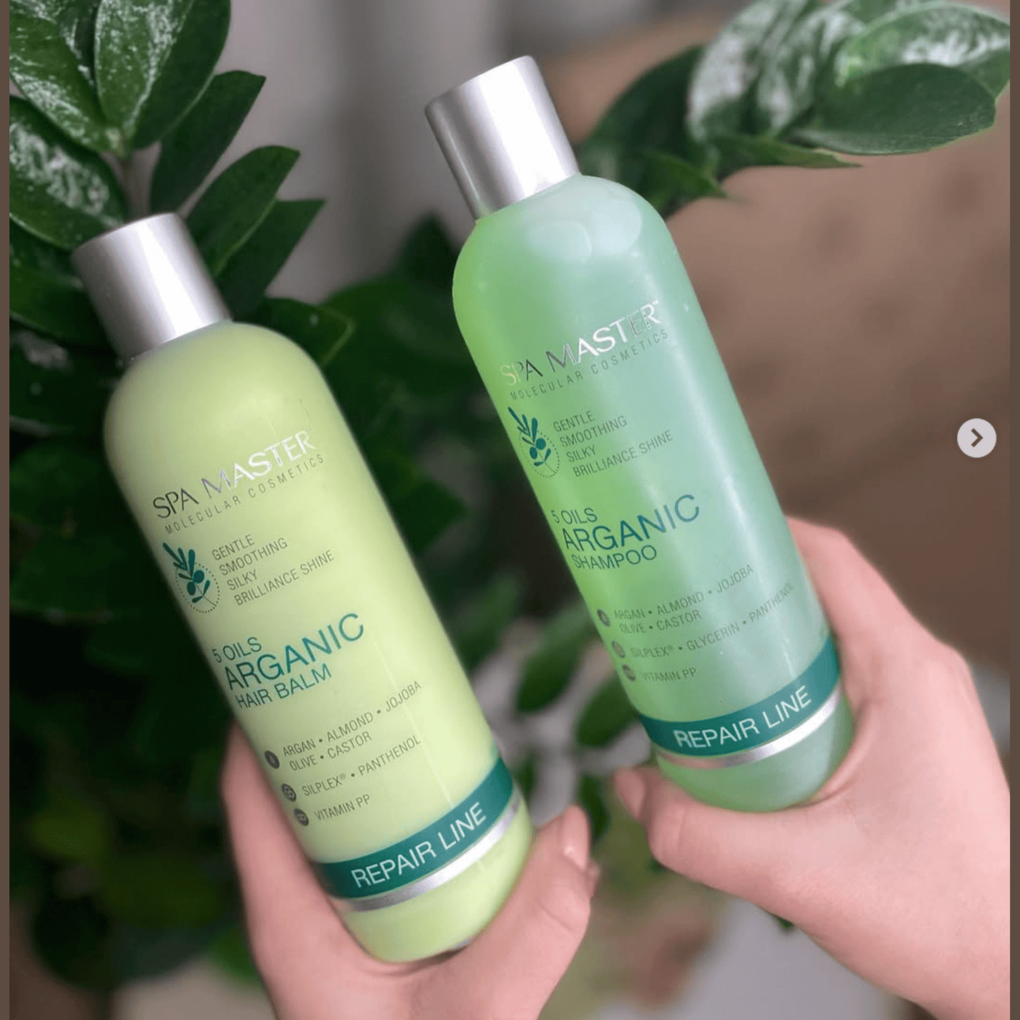 Argan Shampoo Droog tot Beschadigd Haar - 330ml - MISTER33.COM