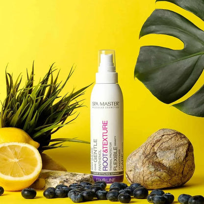 SPA MASTER Spa Master Heat Protection Stylingspray – Sterke Fixatie – 200ml | MISTER33.COM